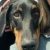Profile picture of Sue Strohecker